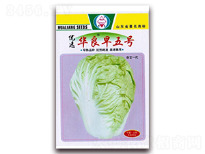 ��(y��u)�x�A������̖-��ײ˷N��-�A���N�I(y��)