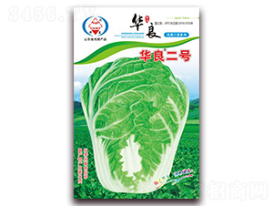 �A����̖-��ײ˷N��-�A���N�I(y��)