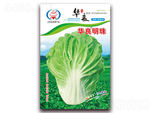 �A������-��ײ˷N��-�A���N�I(y��)