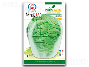 �¿�120-��ײ˷N��-�A���N�I(y��)