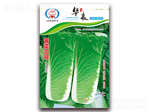 �x����̖(h��o)-��ײ˷N��-�A���N�I(y��)