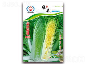 �A�½B��965-��ײ˷N��-�A���N�I(y��)