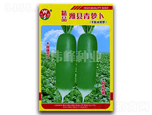 ��Ʒ�H�h���}��-�}���N��-����N�I(y��)