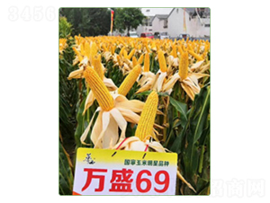 �fʢ69-���׷N��-�A���N�I(y��)