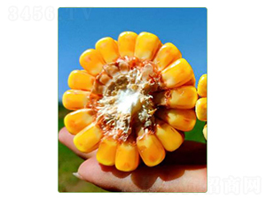 �A��948-���׷N��-�A���N�I(y��)