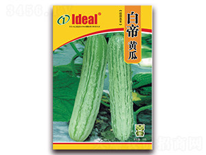 �׵��S��-�S�ϷN��-�����r(n��ng)�I(y��)