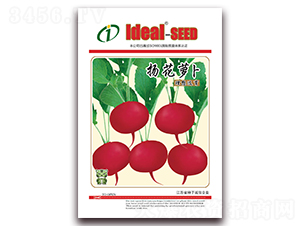 �P(y��ng)���}��-�}���N��-�����r(n��ng)�I(y��)