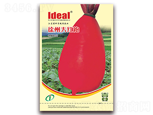 ���ݴ�t��-�}���N��-�����r(n��ng)�I(y��)