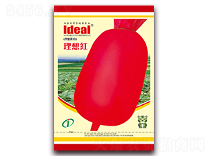 ����t-�}���N��-�����r(n��ng)�I(y��)