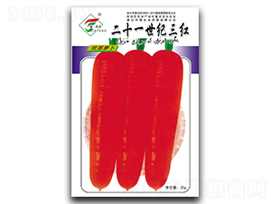 21���o(j��)���t-���}���N��-���r(n��ng)