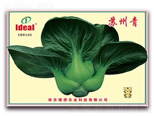 �K����-С�ײ˷N��-�����r(n��ng)�I(y��)