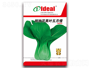 �ͳ�̦���~������-С�ײ˷N��-�����r(n��ng)�I(y��)