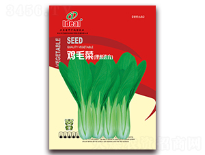 �uë��-С�ײ˷N��-�����r(n��ng)�I(y��)