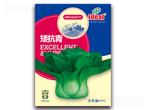 ������-С�ײ˷N��-�����r(n��ng)�I(y��)