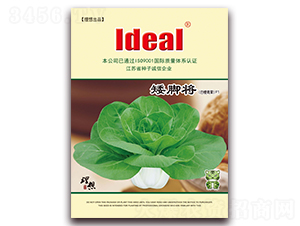 ���_��-С�ײ˷N��-�����r(n��ng)�I(y��)