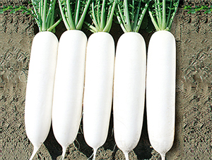 ���r(n��ng)301-�}���N��-���߷N��