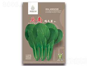 馬尚雞毛菜-青梗菜種子-理想農(nóng)業(yè)