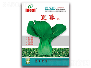 夏尊-青梗菜種子-理想農業(yè)