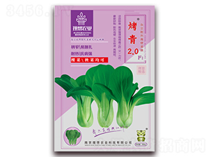 烤青2.0-青梗菜種子-理想農(nóng)業(yè)