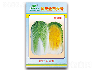 帥天金幣六號(hào)-白菜種子-帥天