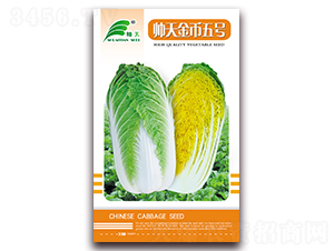 帥天金幣五號(hào)-白菜種子-帥天