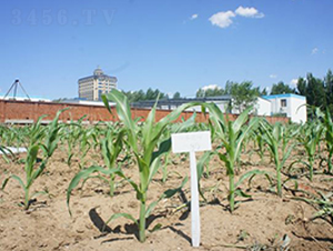 �F��368-���׷N��-�F�зN�I(y��)