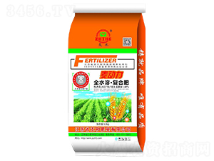 ��������(f��)�Ϸ�18-18-5-֧�ͷʘI(y��)