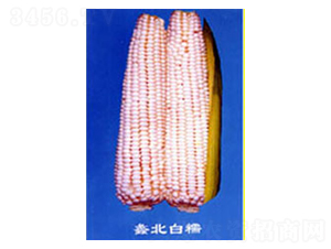 󻱱��Ŵ-Ŵ���׷N��-���