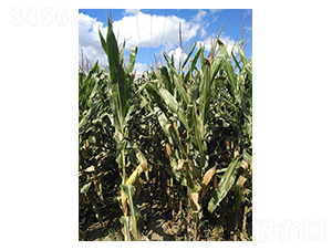 ���103-���׷N��-���