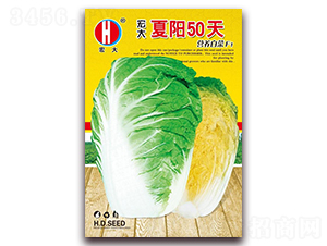 ������(y��ng)50��-�ײ˷N��-����(r��n)�N�I(y��)