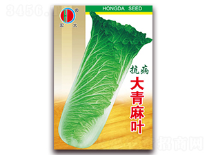 �������~-�ײ˷N��-�����N�I(y��)