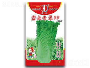 ������55-ֱͲ�ײ˷N��-�����N�I(y��)