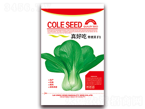 ��ó��๣��F1-�๣�˷N��-�����N�I(y��)