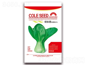 �G�����๣��-�๣�˷N��-�����N�I(y��)