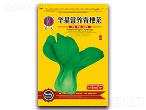 �A�ǠI�B(y��ng)�๣��-�๣�˷N��-�����N�I(y��)