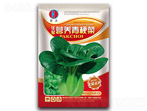 �A�ǠI�B(y��ng)�๣�ˣ��t��-�๣�˷N��-�����N�I(y��)