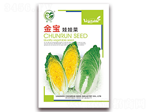 �������޲�-���޲˷N��-����(r��n)�N�I(y��)