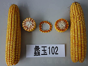 ���102̖-���׷N��-���