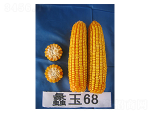 ���68-���׷N��-���