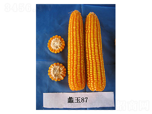 ���87-���׷N��-���