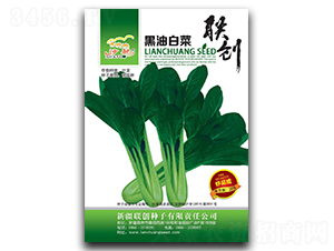 ���Ͱײ�-�ײ˷N��-(li��n)��(chu��ng)