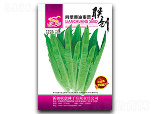 �ļ���������-�����˷N��-(li��n)��(chu��ng)