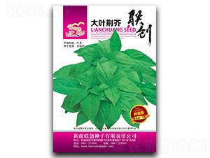 ���~�G��-�G��N��-(li��n)��(chu��ng)