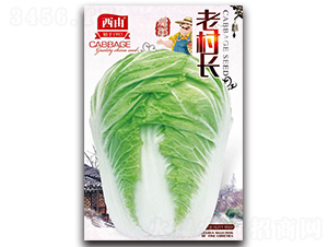 �ϴ��L-�ײ˷N��-����