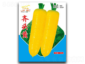 �R�^�S-�}���N��-(li��n)��(chu��ng)