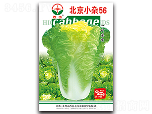 С�s56-�ײ˷N��-����