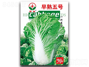 ������̖-�ײ˷N��-����