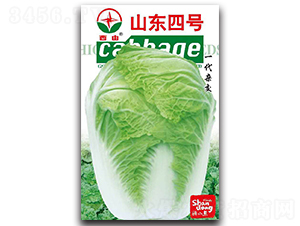 ɽ�|��̖-�ײ˷N��-����