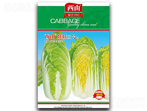 ������̖-�ײ˷N��-����