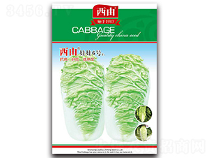 ��������6̖(h��o)-�ײ˷N��-����